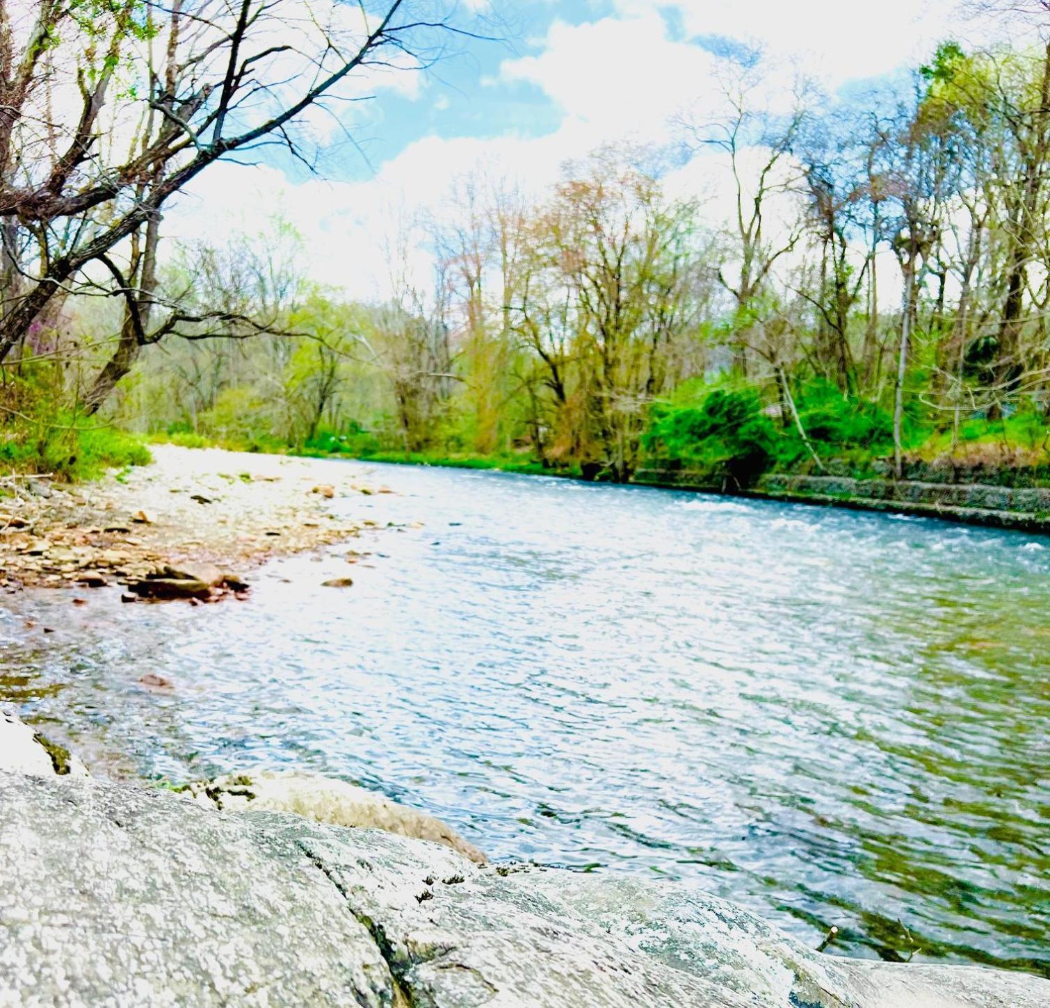 Newfound Lodge On The River Cherokee Ngoại thất bức ảnh